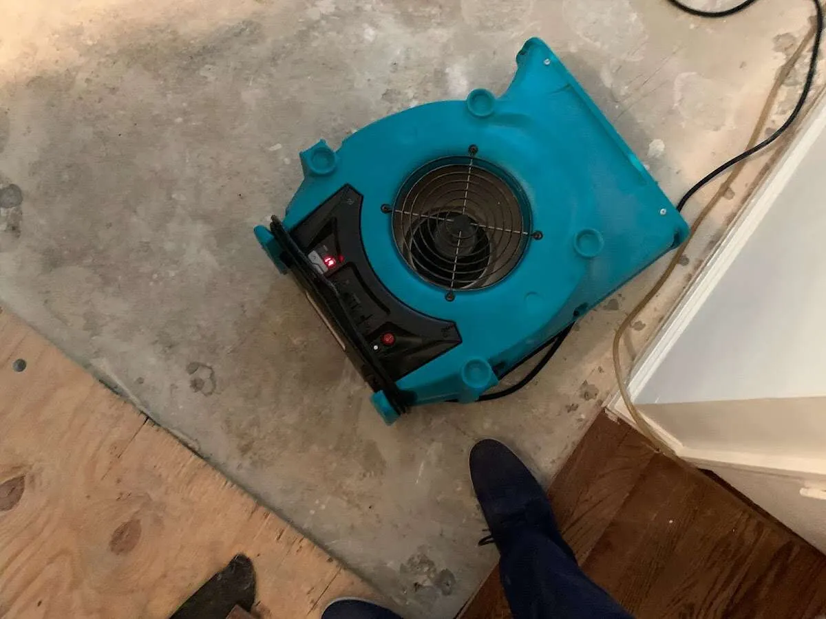Air mover drying subfloor during Leak Detection & Repair in Ruskin